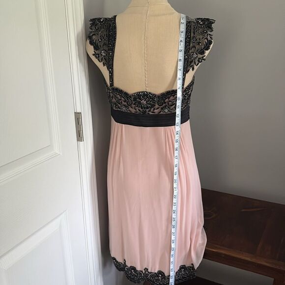 Sue Wong Walt Disney “Alice in Wonderland” 
Black & Rose Lace Trim Dress Size 6 - Picture 8 of 16